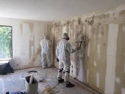 Best Commercial Mold Inspection  in Woodlynne, NJ